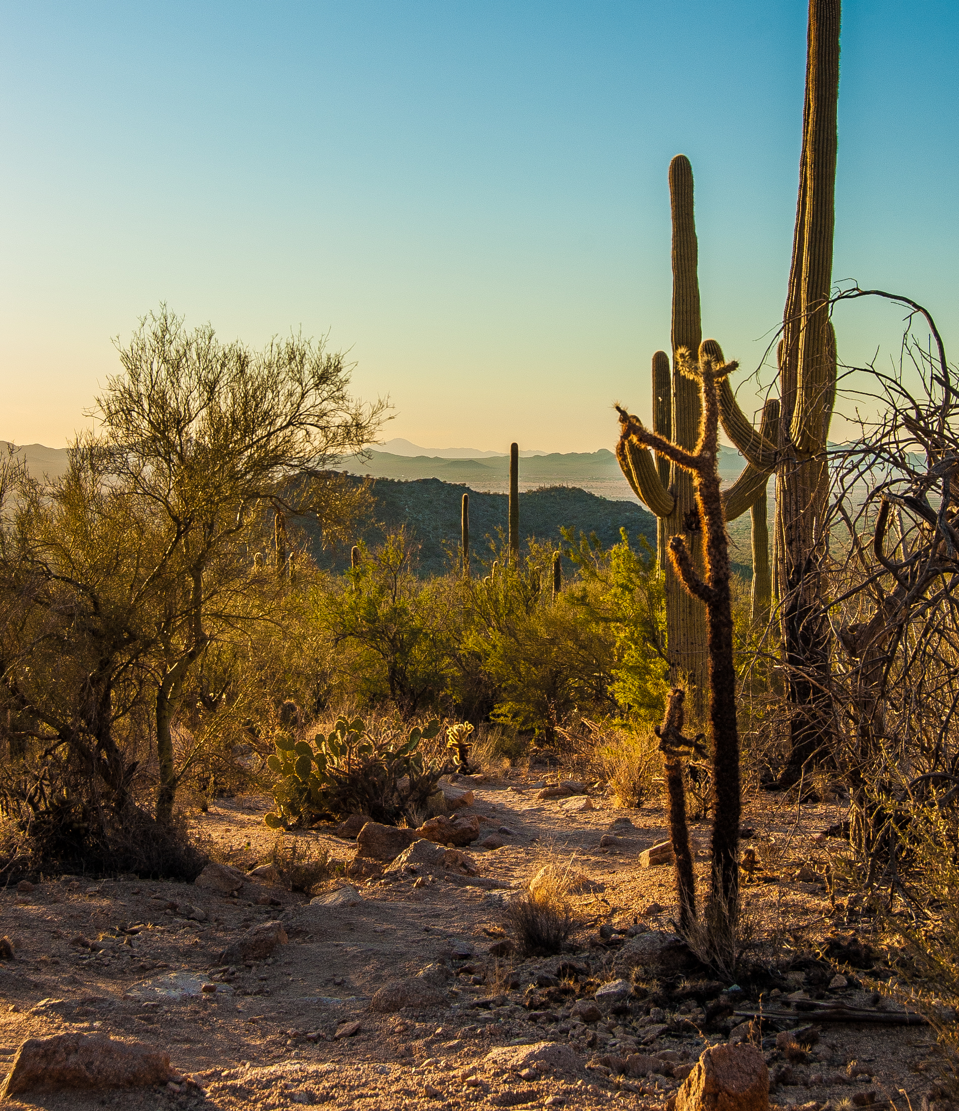 Hugh Norris Trail