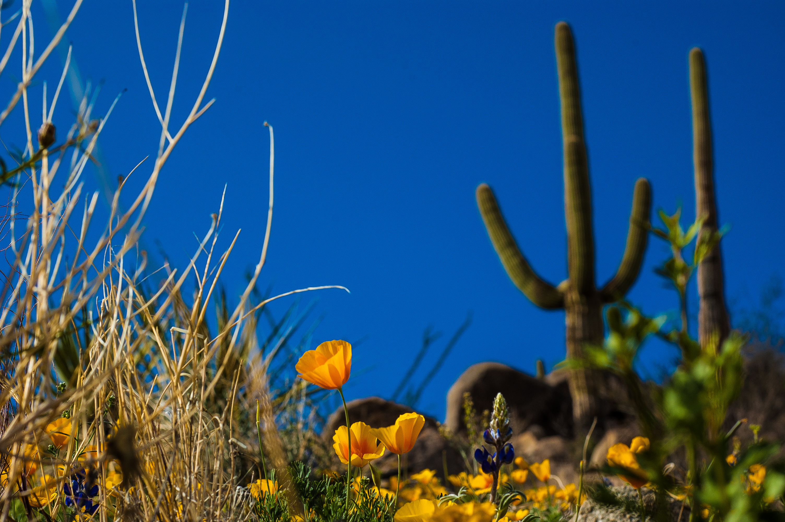 Hugh Norris Trail