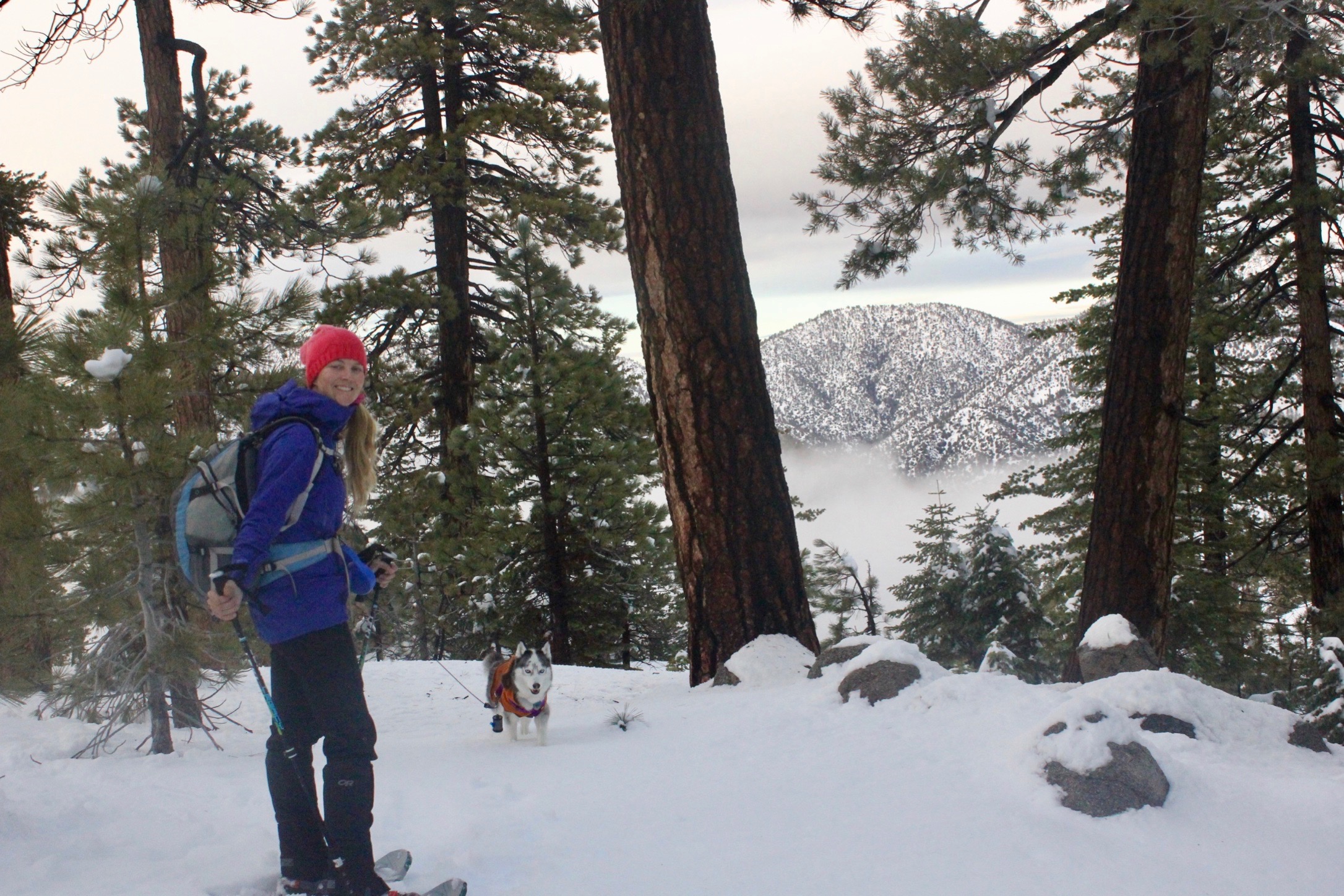 Snowshoe Buckhorn Ridge Trail