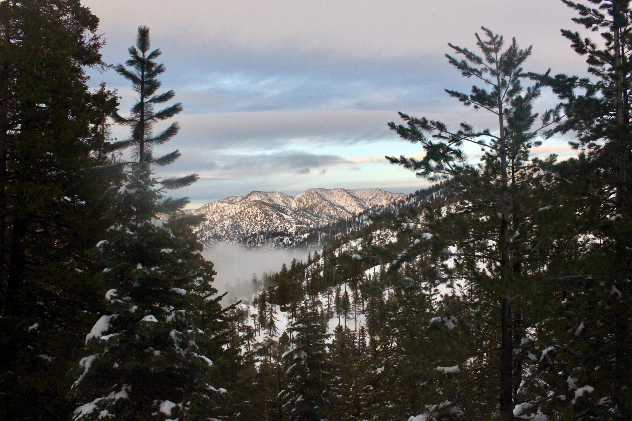 Snowshoe Buckhorn Ridge Trail