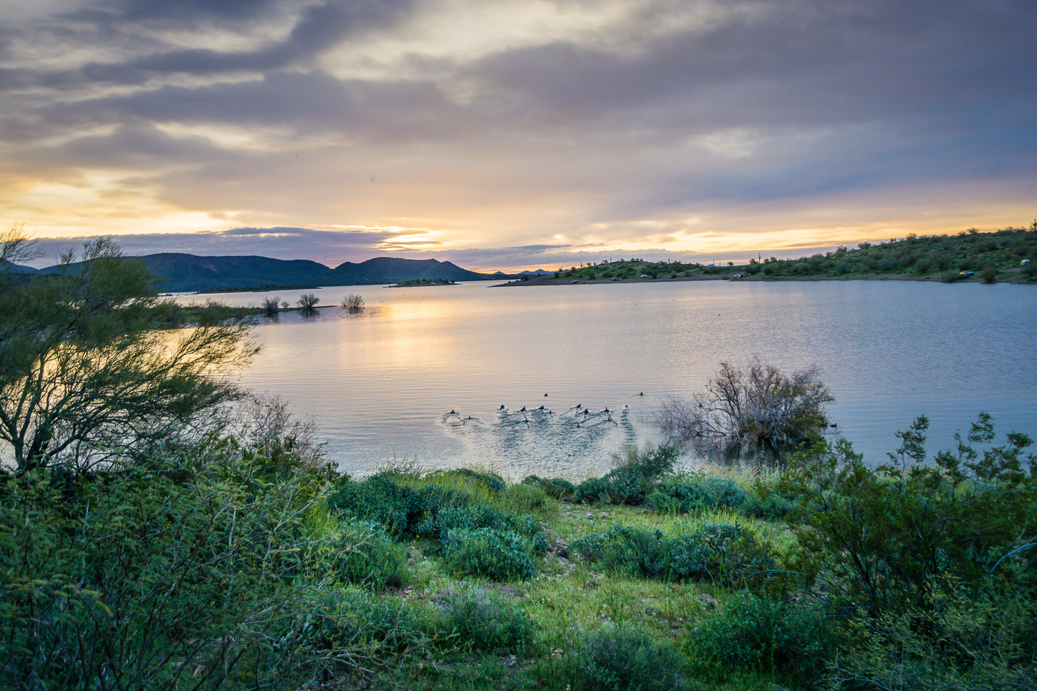 Hike the Wild Burro Trail