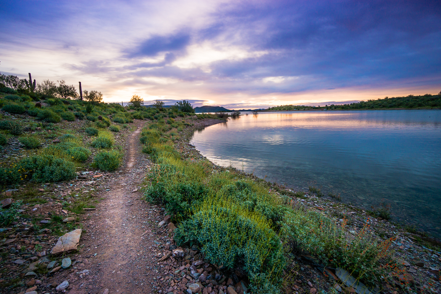 Hike the Wild Burro Trail