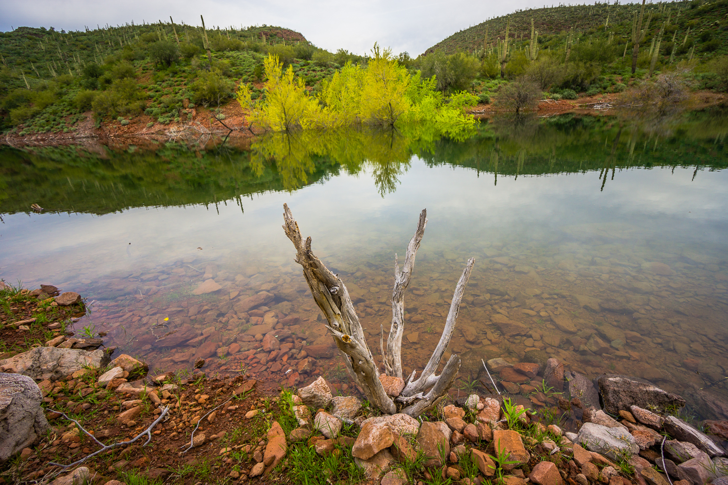 Hike the Wild Burro Trail