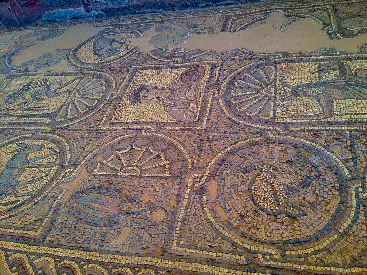 Explore the Ancient City of Petra