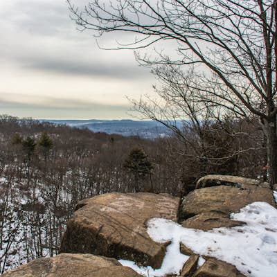 Hike the Tower Trail at Sleeping Giant State Park