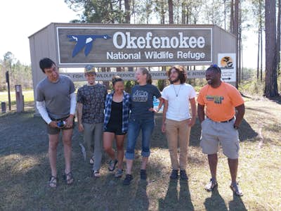 Don't go pokin' in the Okefenokee 