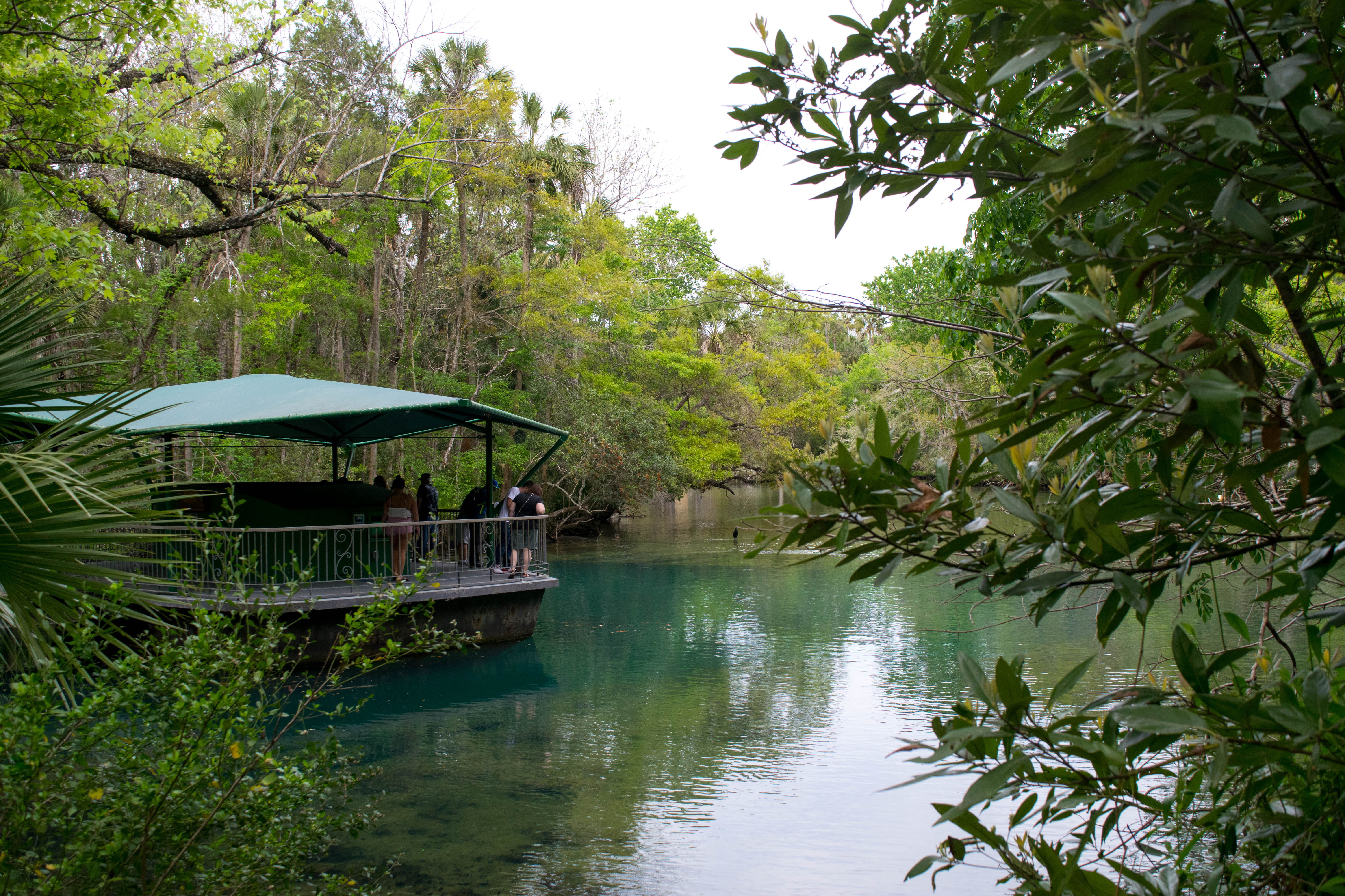 Photograph Homosassa Springs Wildlife State Park