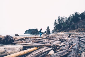 How We Explored the Olympic Peninsula in Just One Day