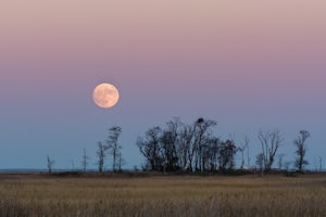 Photographing the Supermoon and What I'll Do Differently Next Time