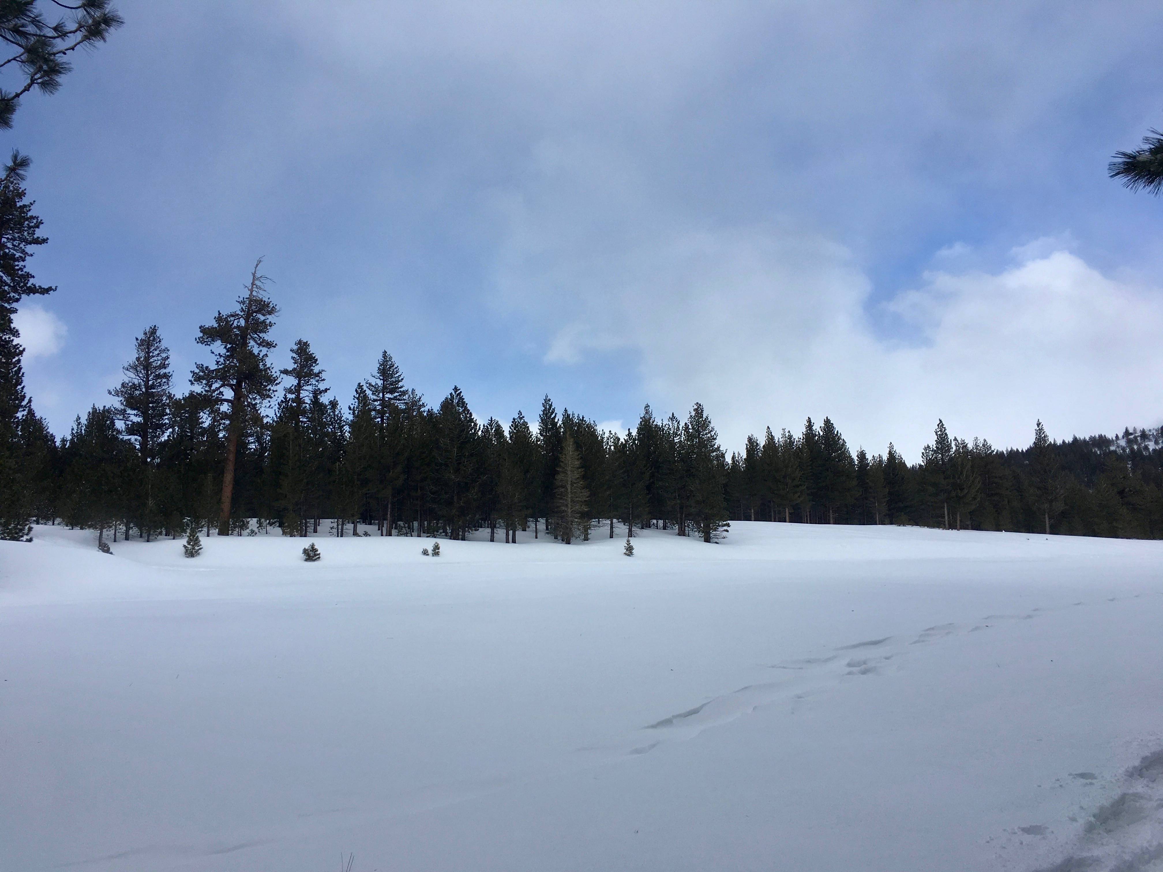 Snowshoe Shady Rest Park, Mammoth Lakes, California