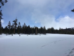 Snowshoe Shady Rest Park