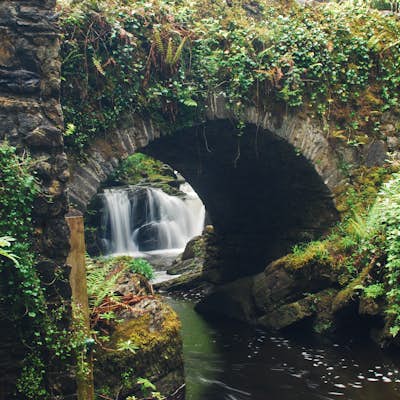 Hike the Torc Waterfall Loop