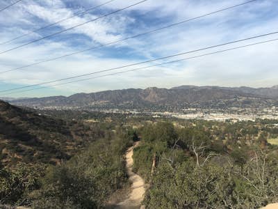 Mount Hollywood via the Fern Canyon Trail