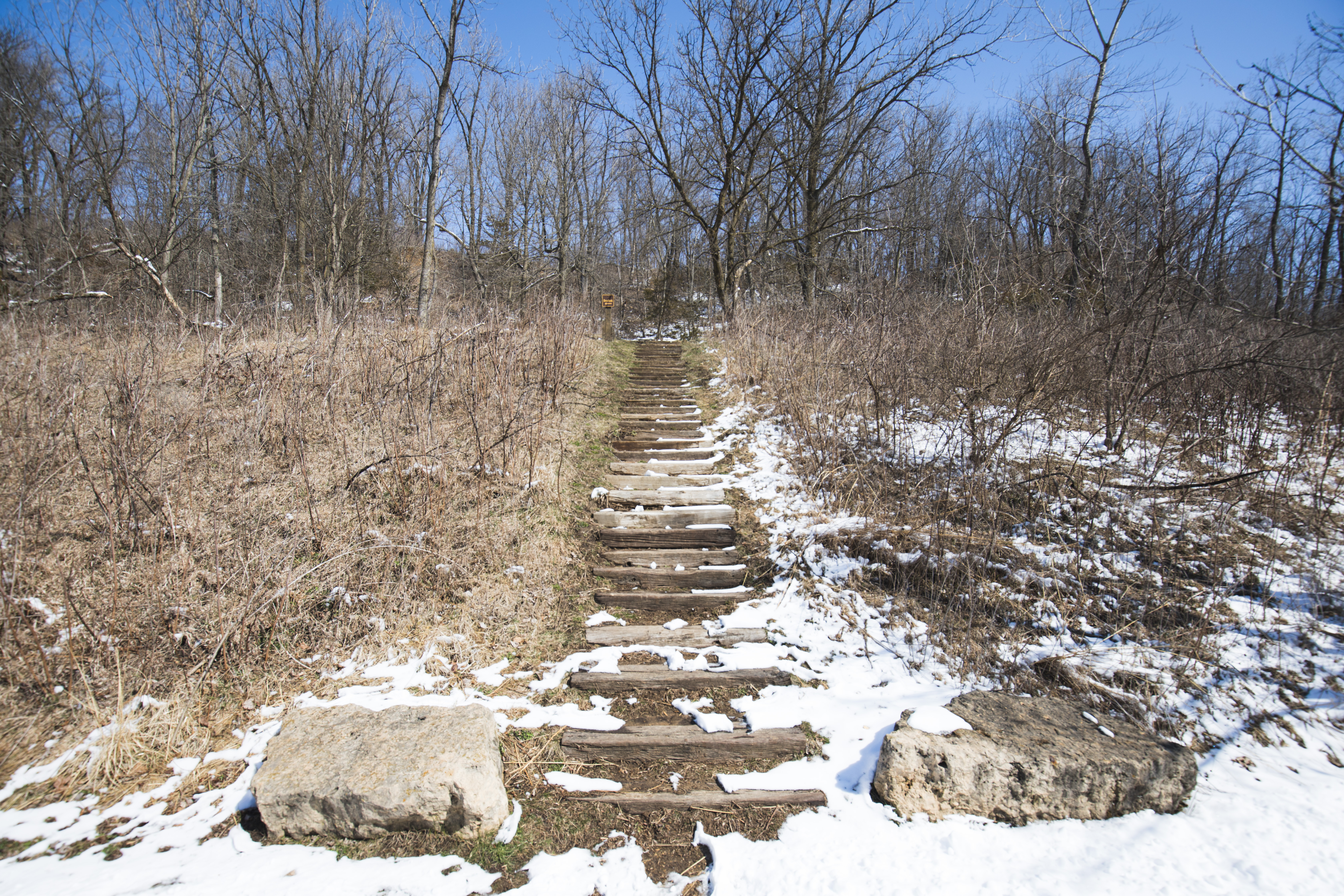 Hike the Horseshoe Bluff Trail 