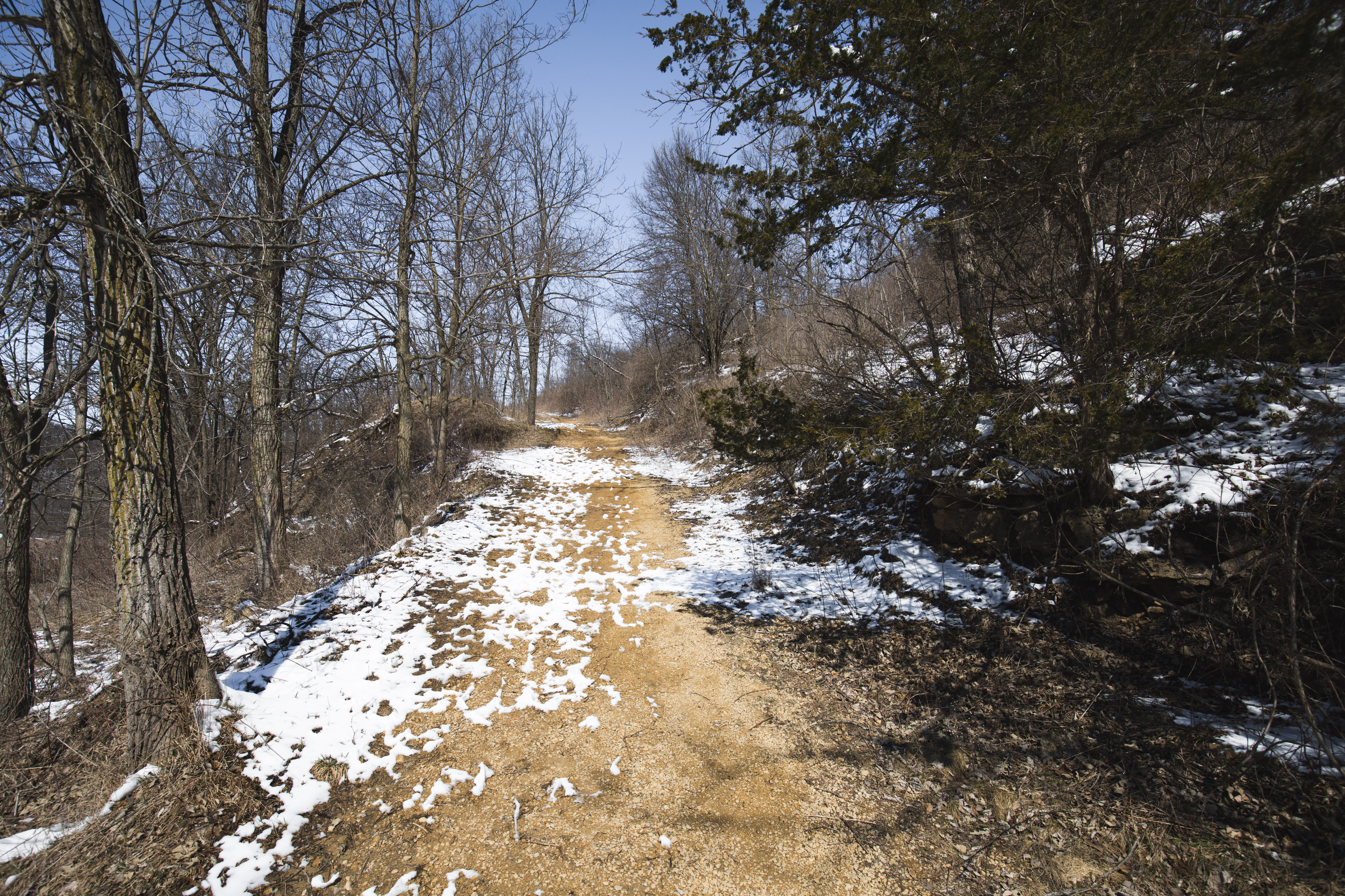 Hike the Horseshoe Bluff Trail 