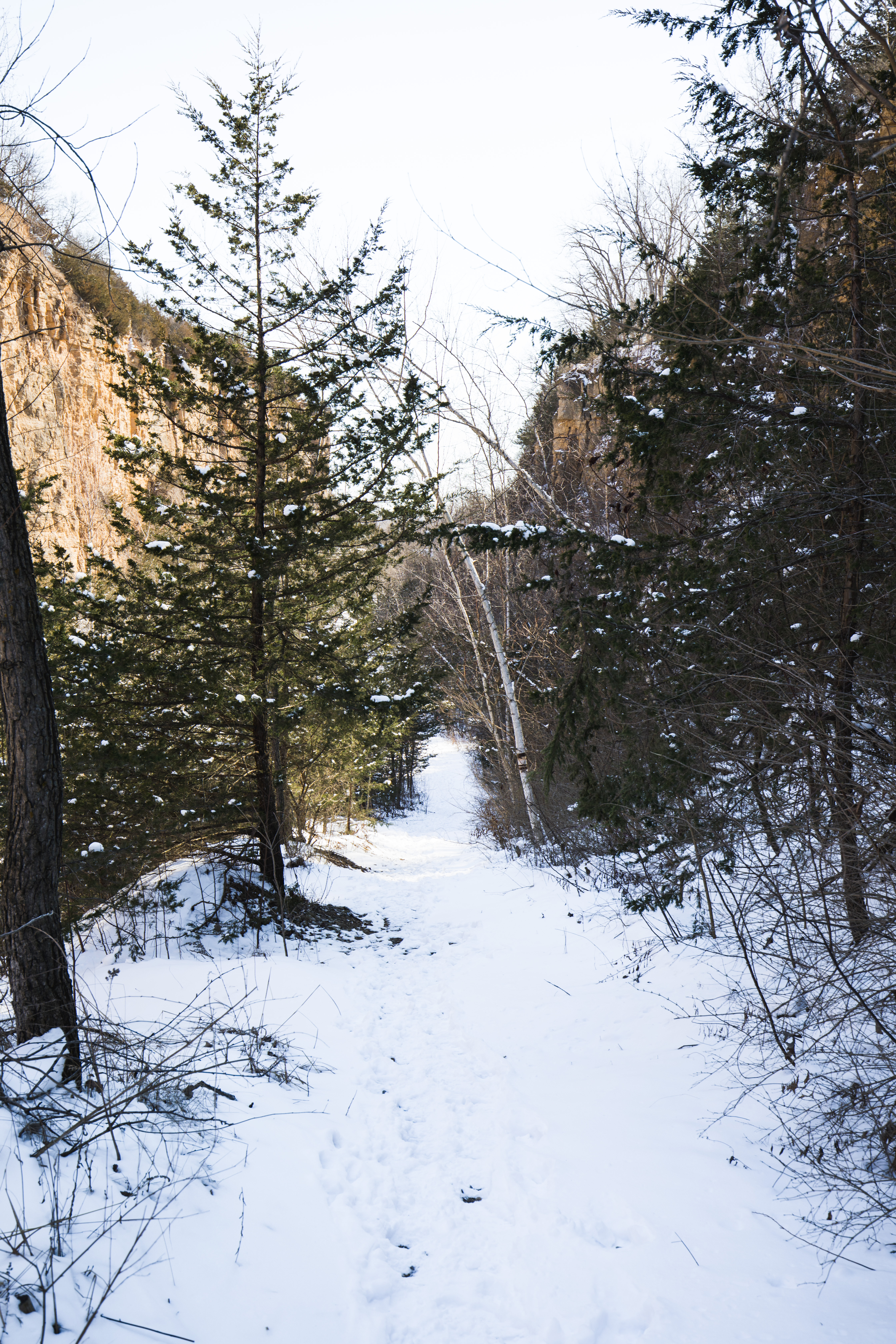 Hike the Horseshoe Bluff Trail 