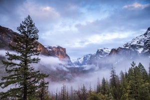 Why You Should Visit the National Parks in Their Off Season