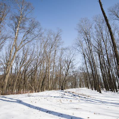 Hike the Fire Point Loop Trail, Effigy Mounds National Monument