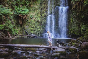 Explore Beauchamp Falls on the Great Ocean Road