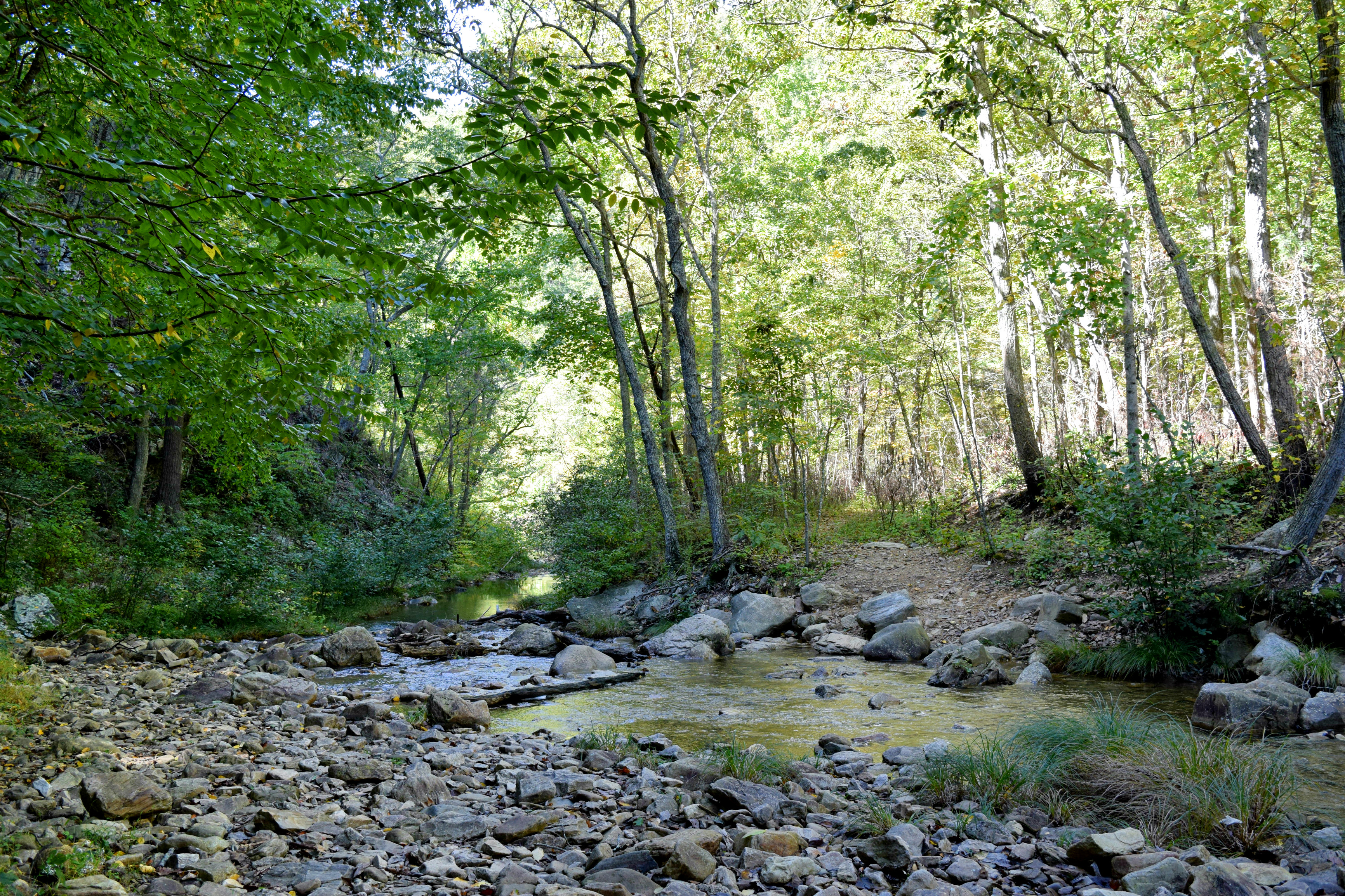 Hike to Saint Mary's Falls