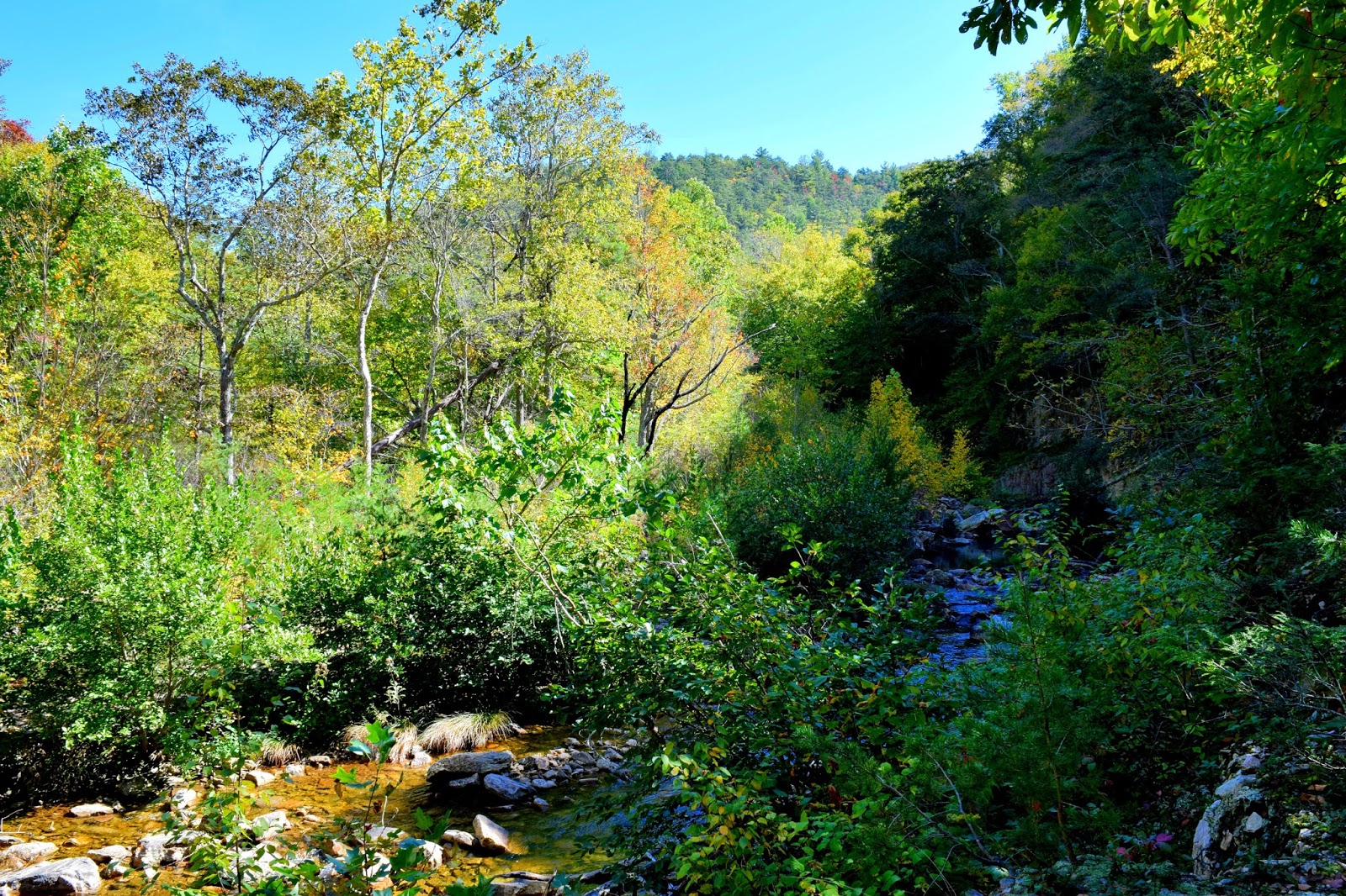 Hike to Saint Mary's Falls