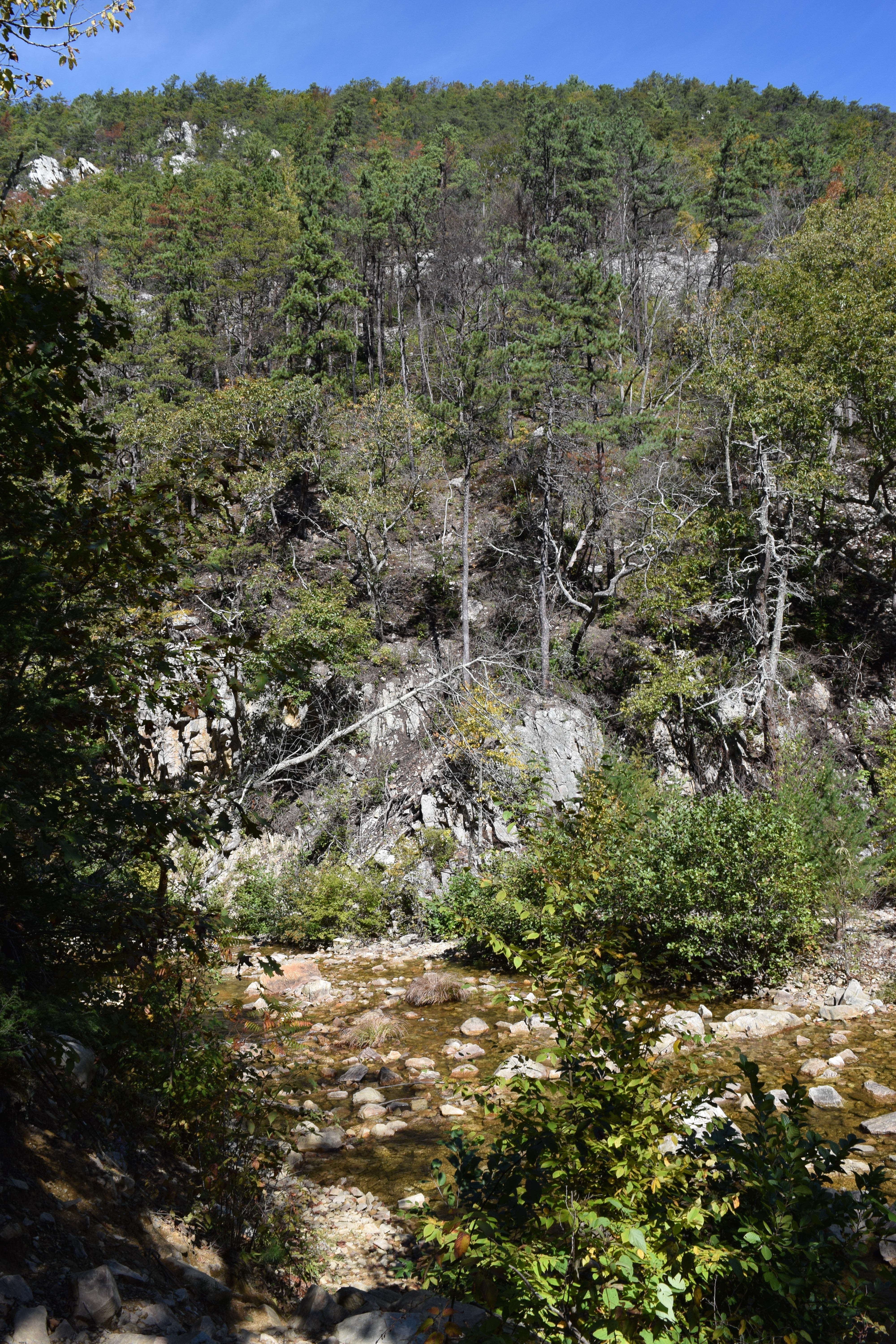 Hike to Saint Mary's Falls