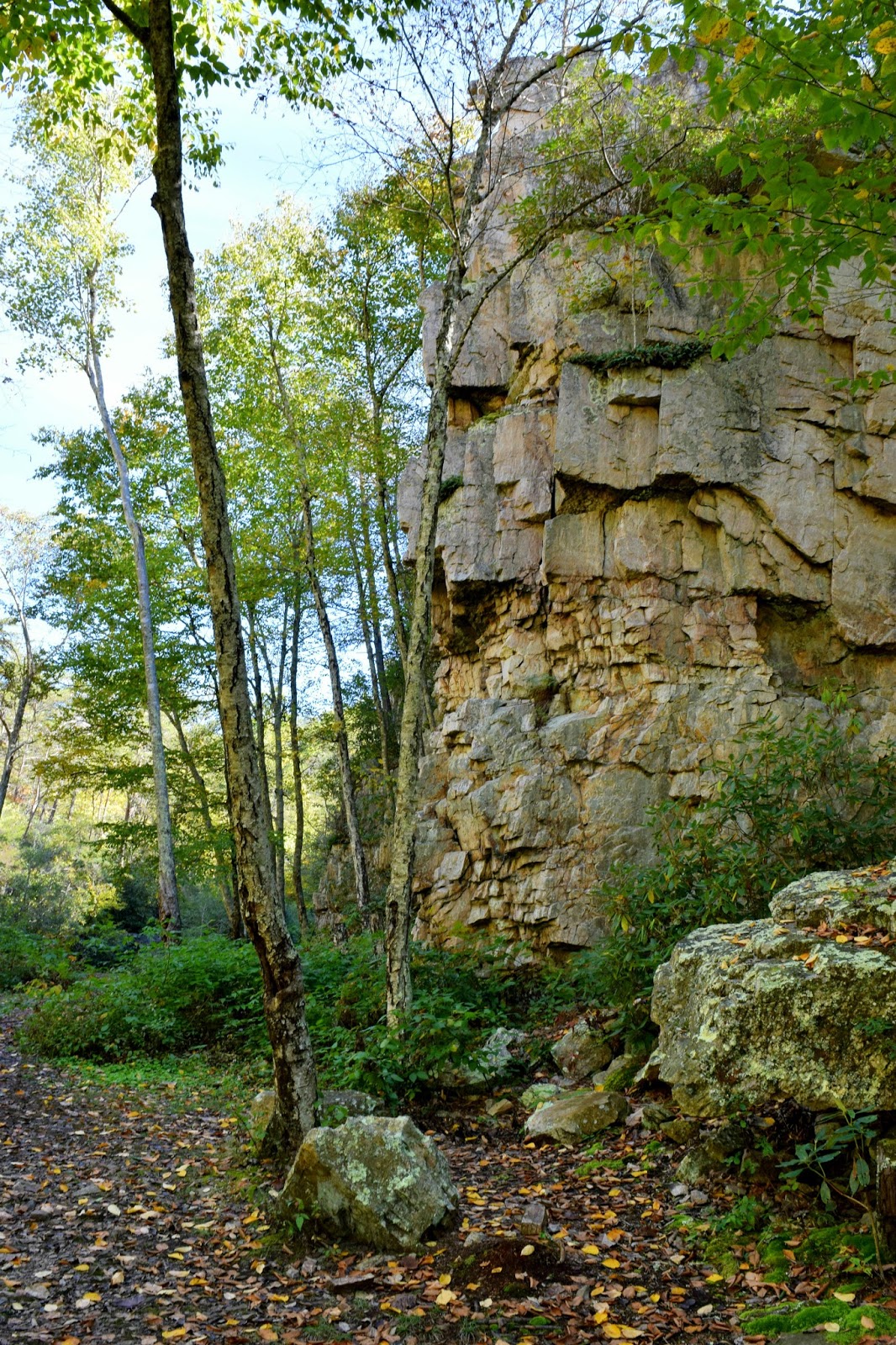 Hike to Saint Mary's Falls