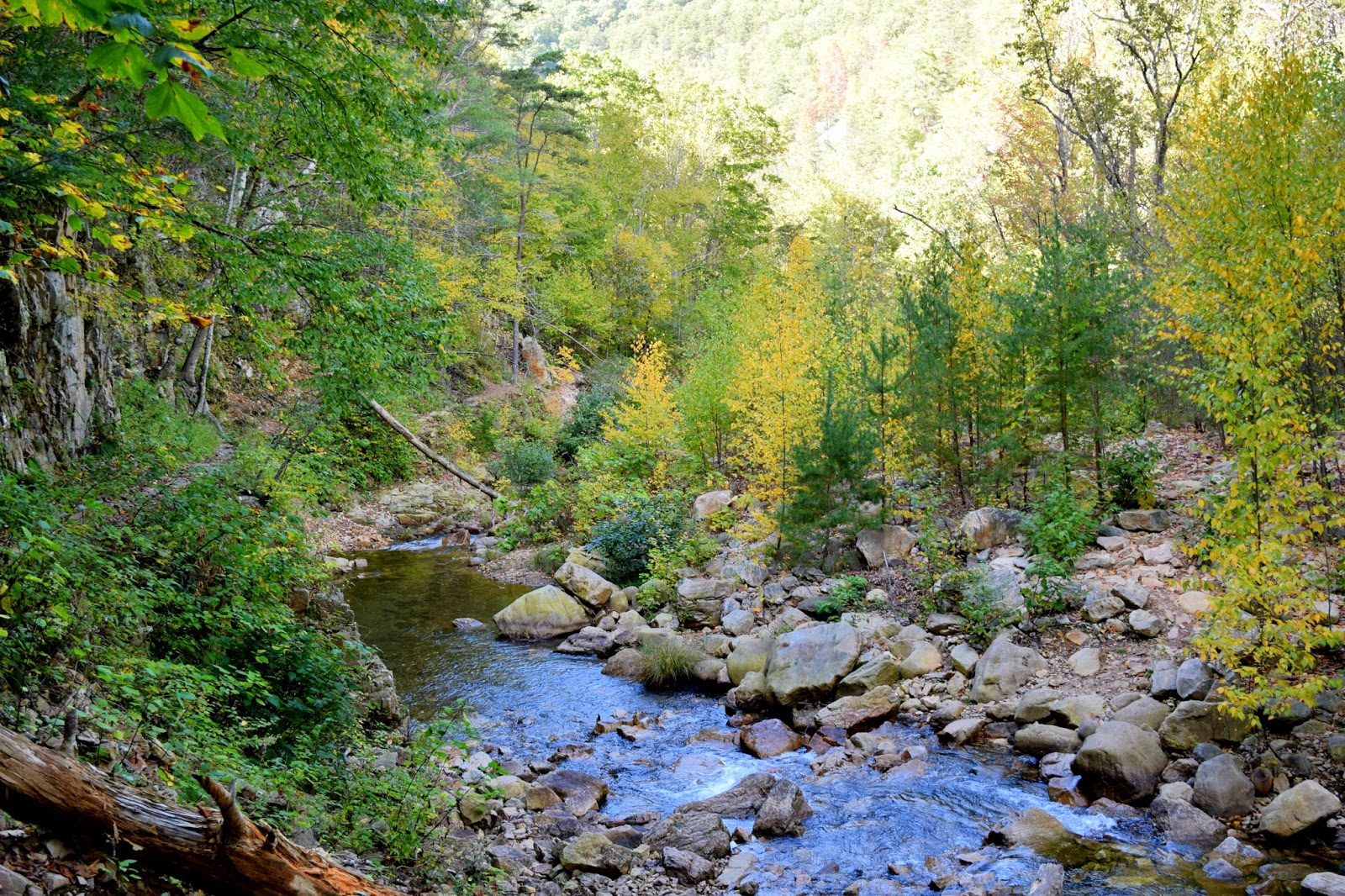 Hike to Saint Mary's Falls