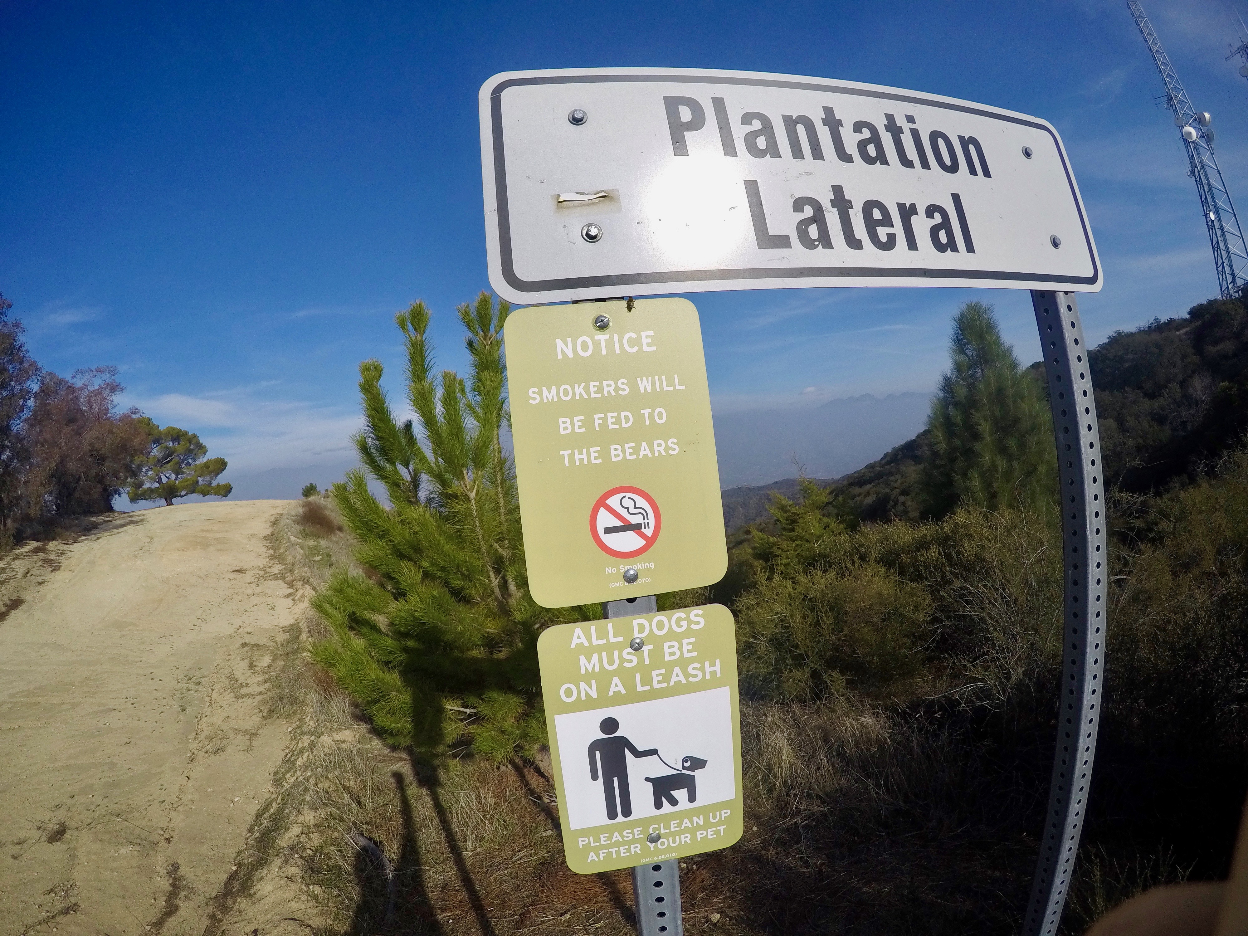 Verdugo Peak via Hostetter Fire Road