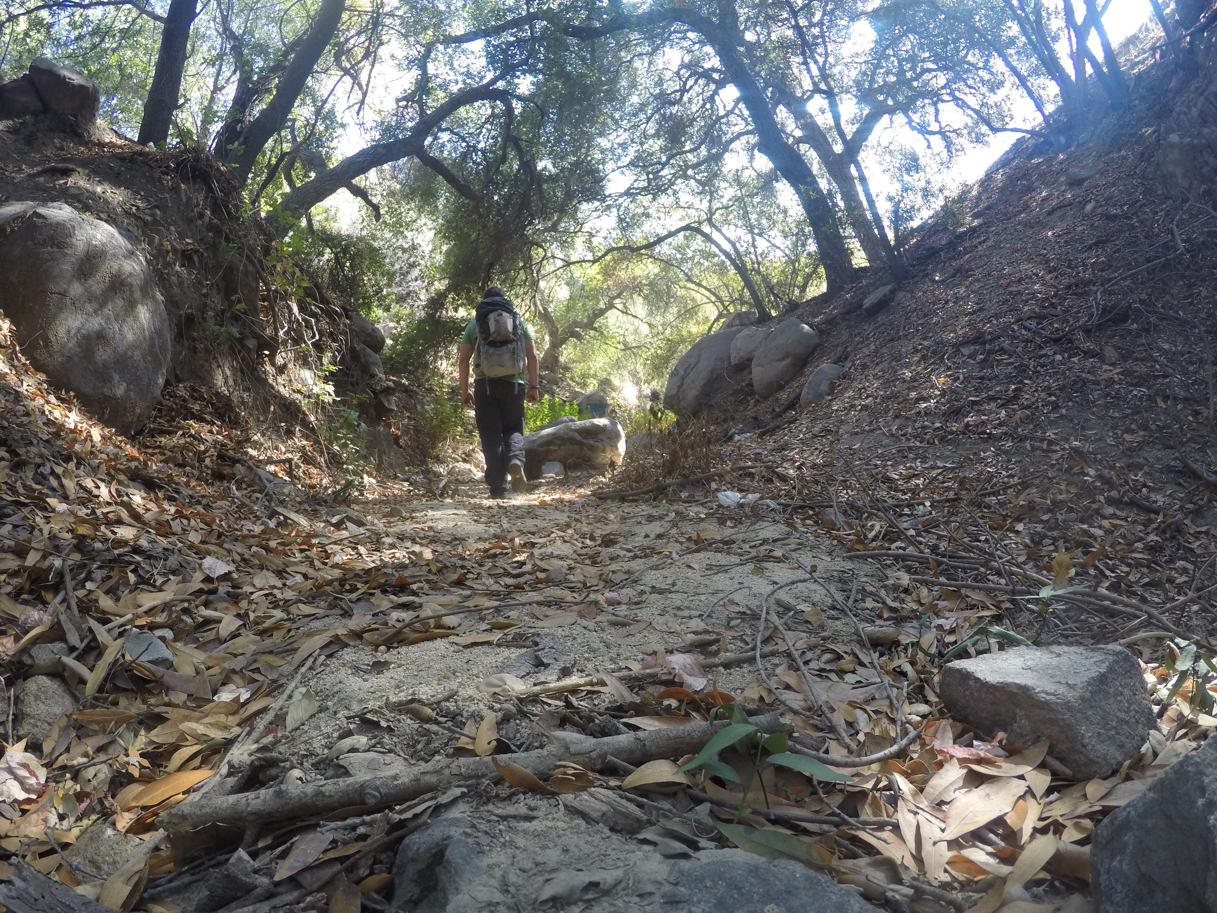 Verdugo Peak via Hostetter Fire Road