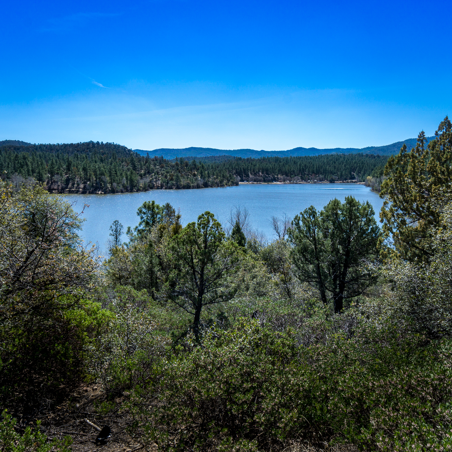 Hike Lynx Lake
