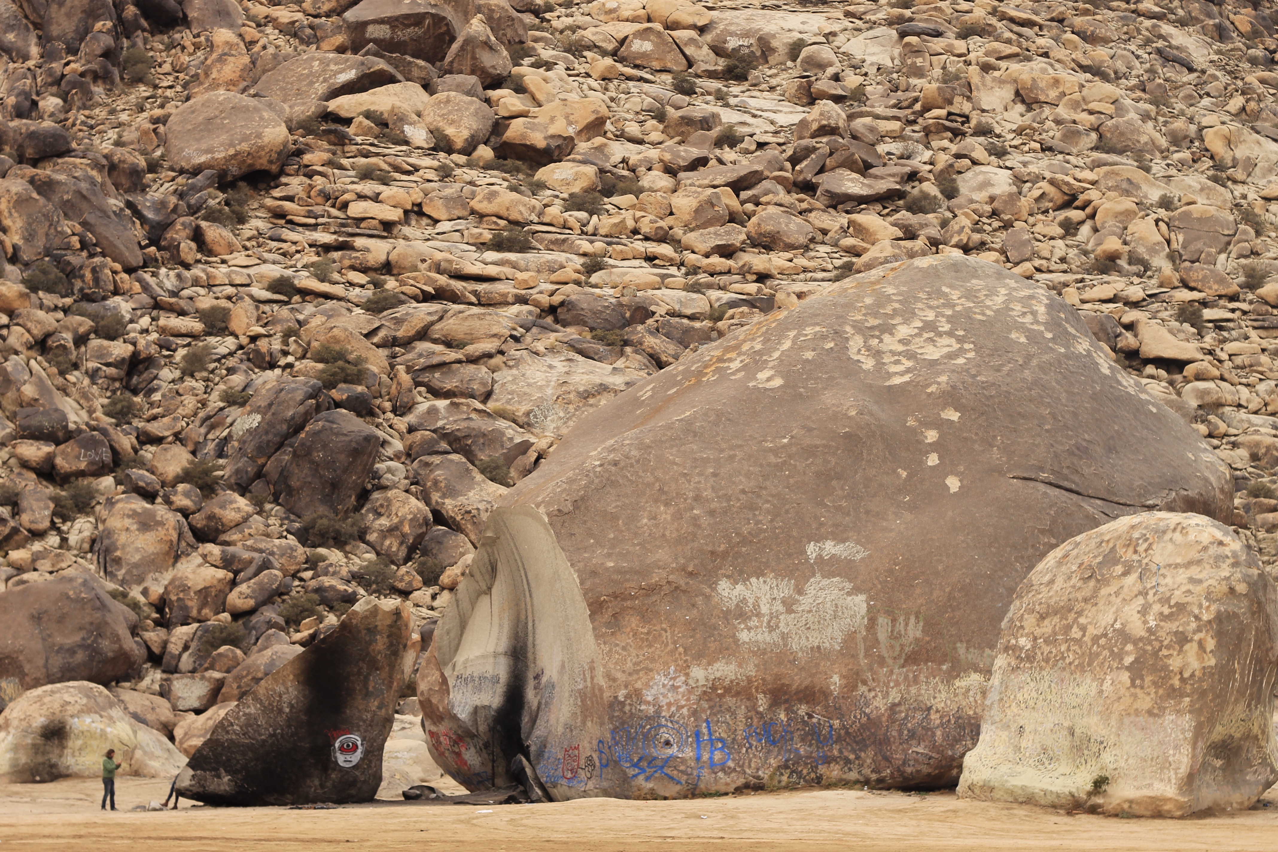 Explore Giant Rock