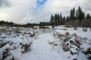 Hike the Lam Watah Trail 