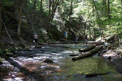 Hike and Visit Adam's Creek 