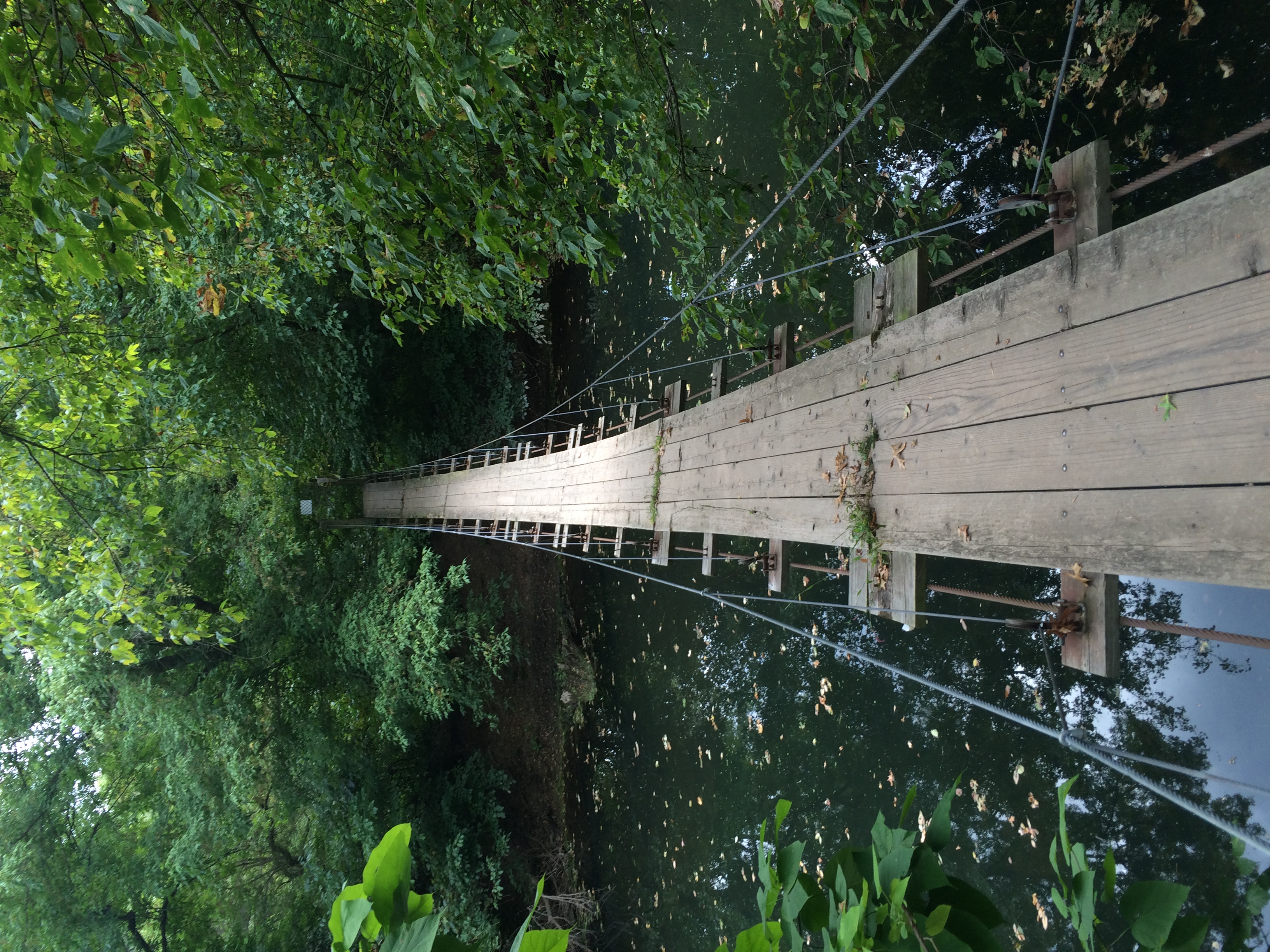 Princeton Battlefield Park Suspension Bridge