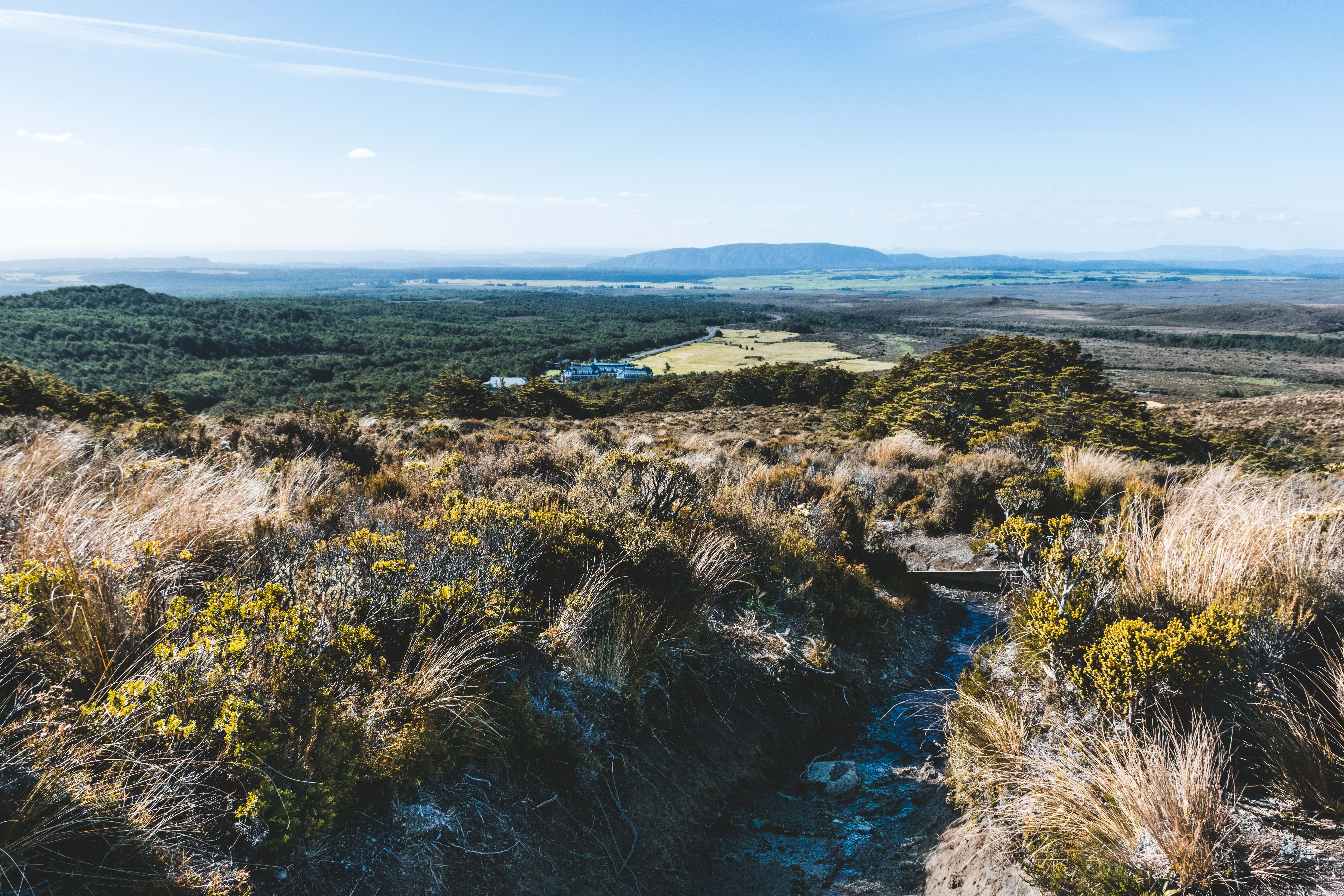 Hike the Ridge Walking Track