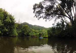 Kayak Kahana Stream