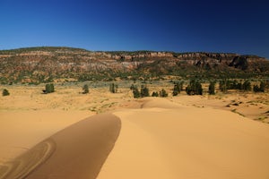 Nature Trail Loop