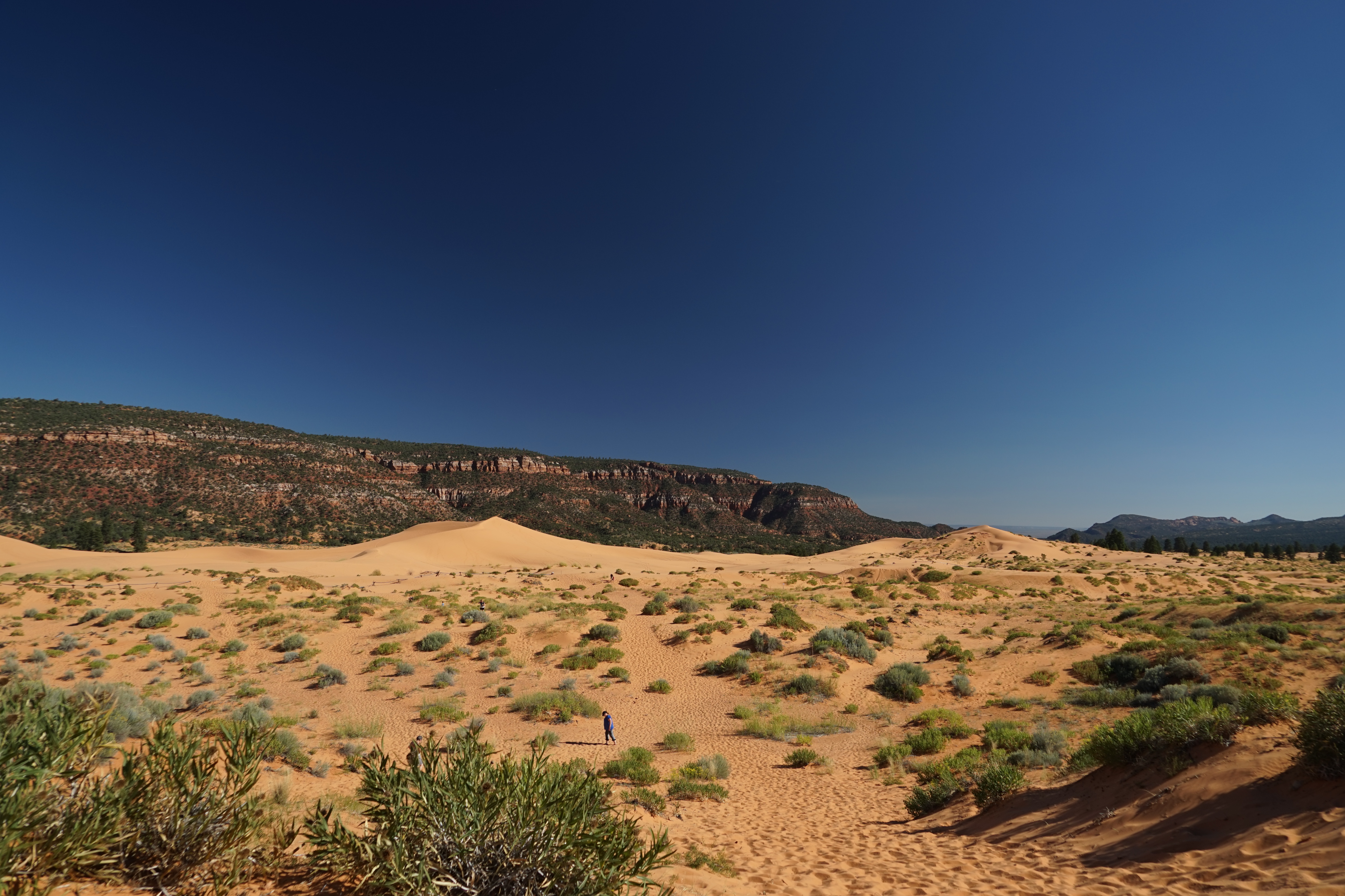 Nature Trail Loop