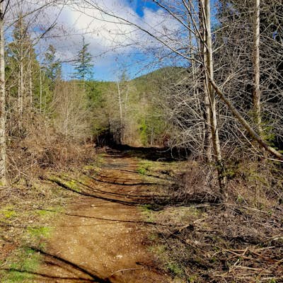 Hike the Gold Creek Trail at Green Mountain