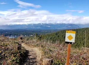 Hike the Gold Creek Trail at Green Mountain