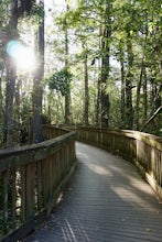 Stroll along the Kirby Storter Boardwalk