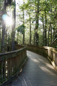Stroll along the Kirby Storter Boardwalk