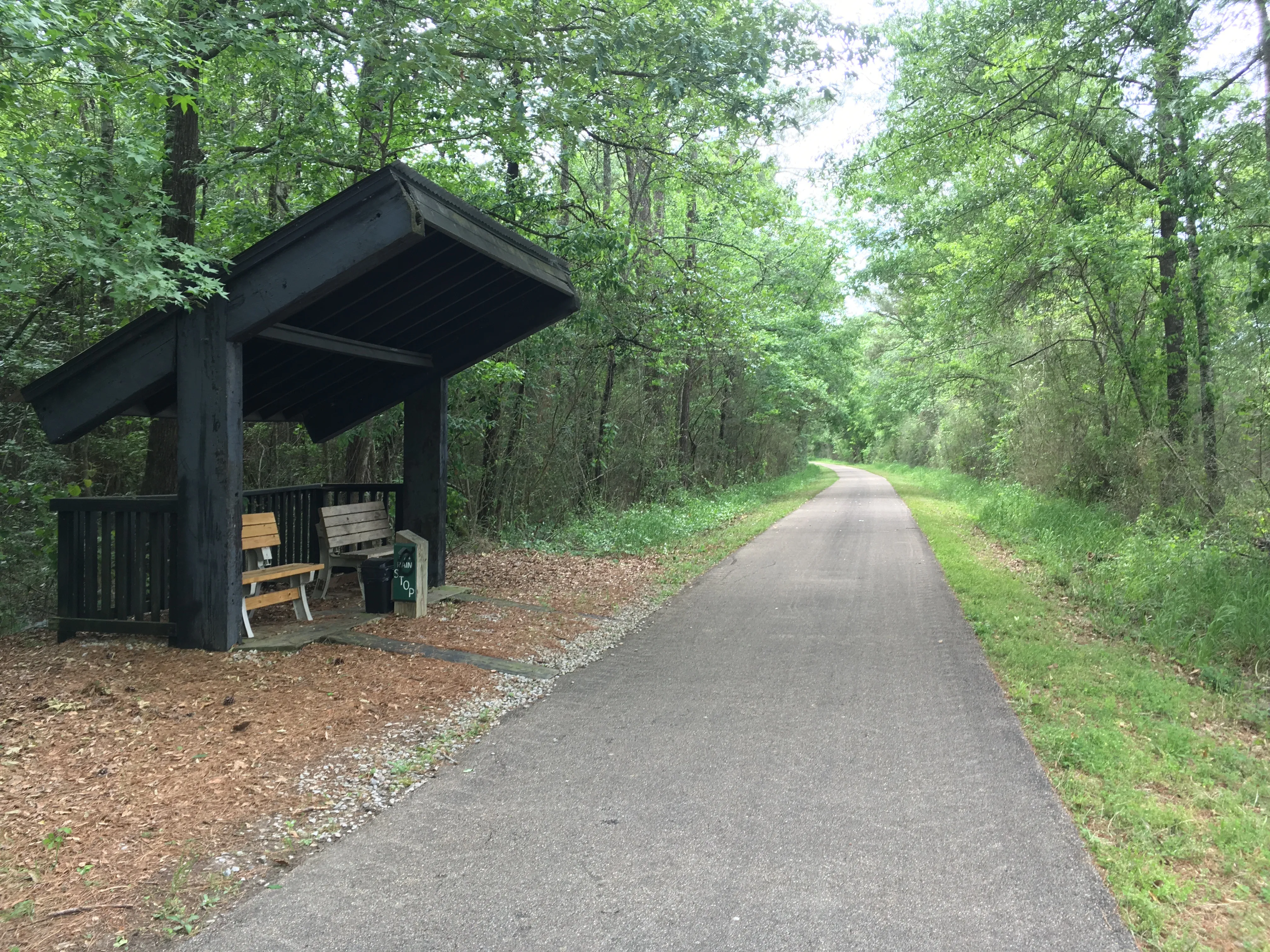 Bike the Longleaf Trace
