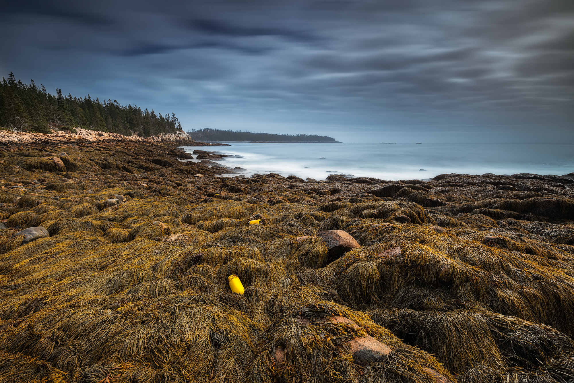 Camp at Acadia National Park's Duck Harbor