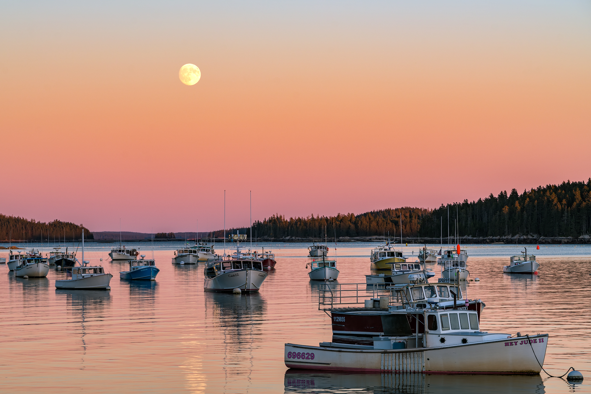 Camp at Acadia National Park's Duck Harbor
