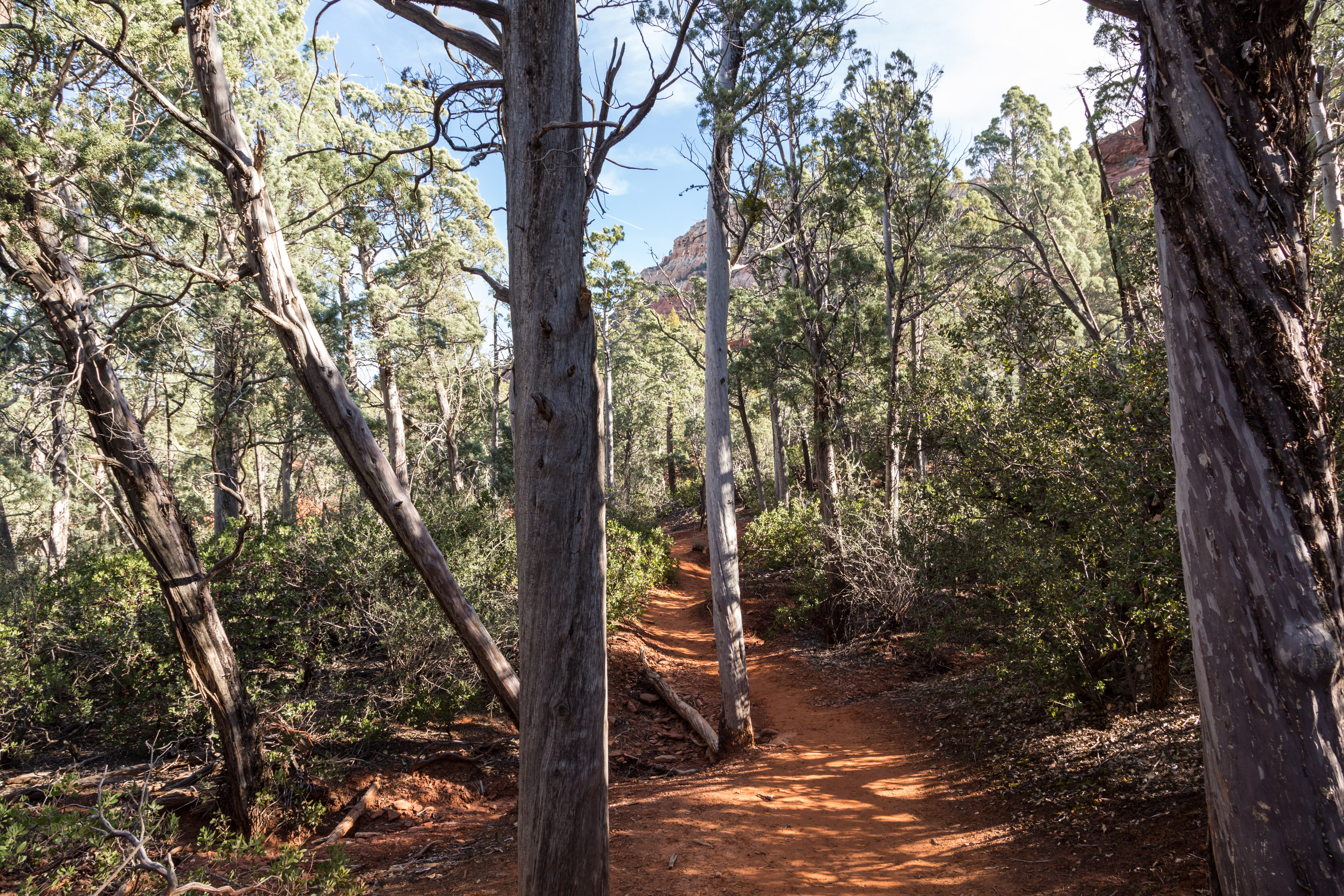 Soldier's Pass Trail to Brins Mesa Trail