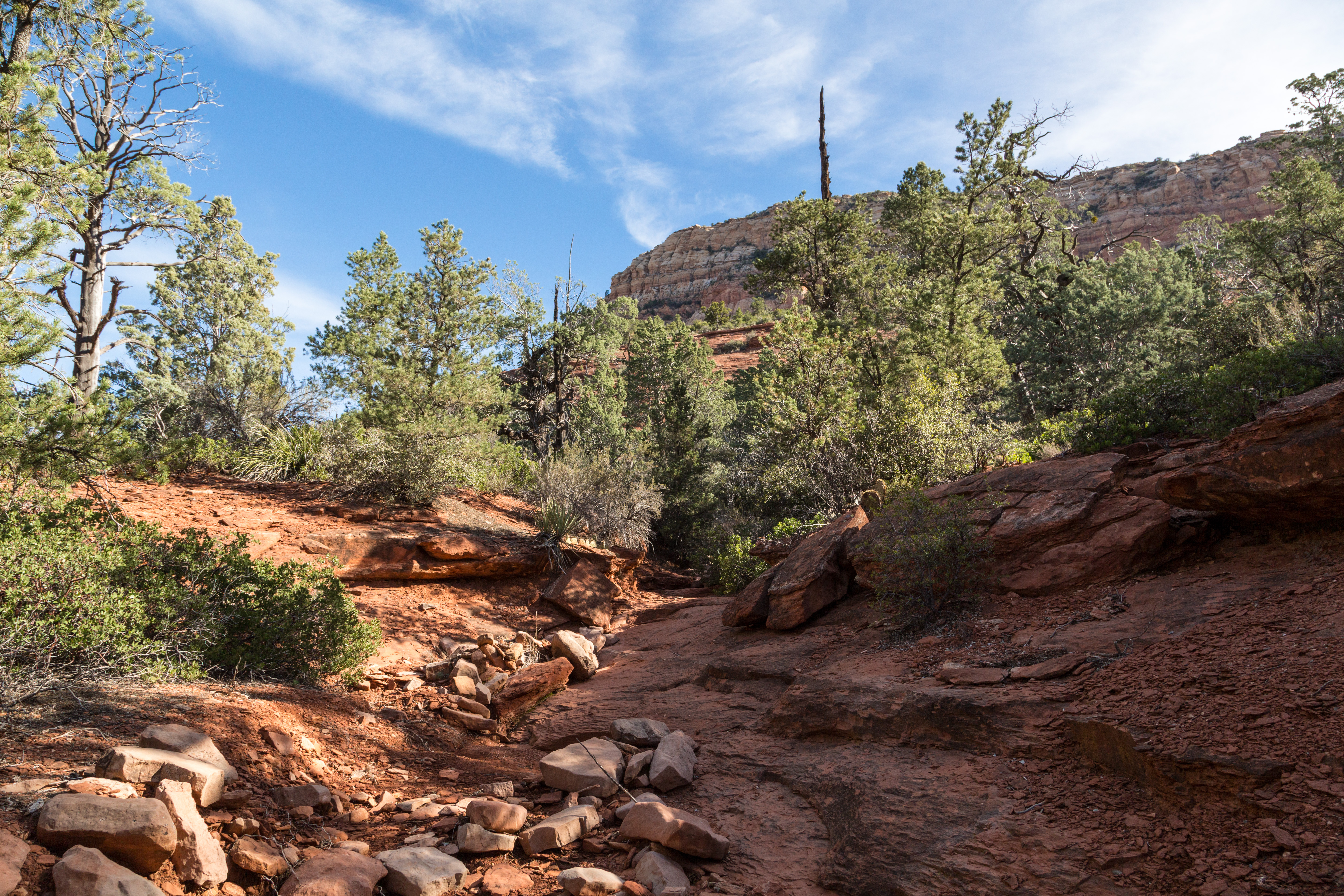 Soldier's Pass Trail to Brins Mesa Trail