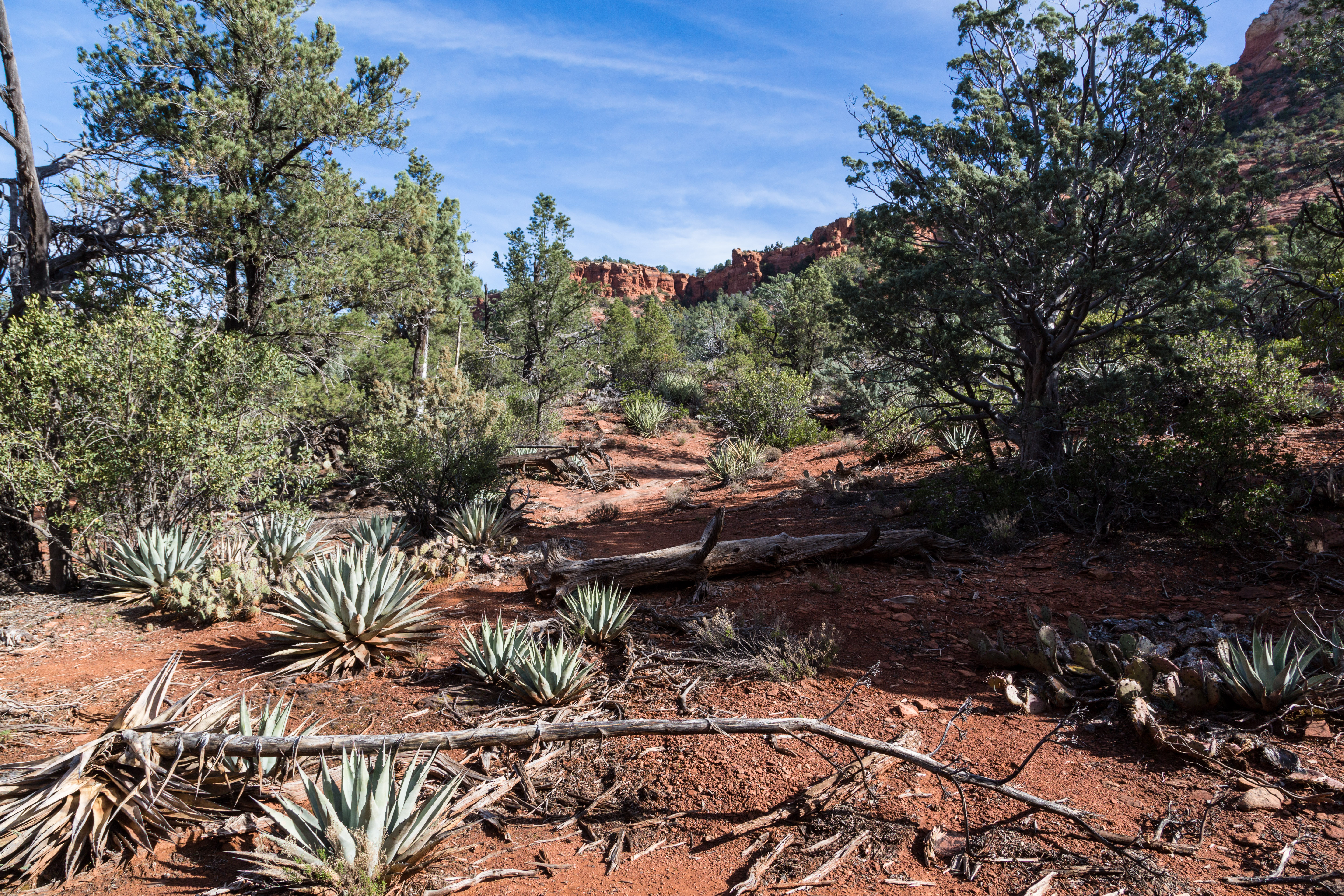 Soldier's Pass Trail to Brins Mesa Trail