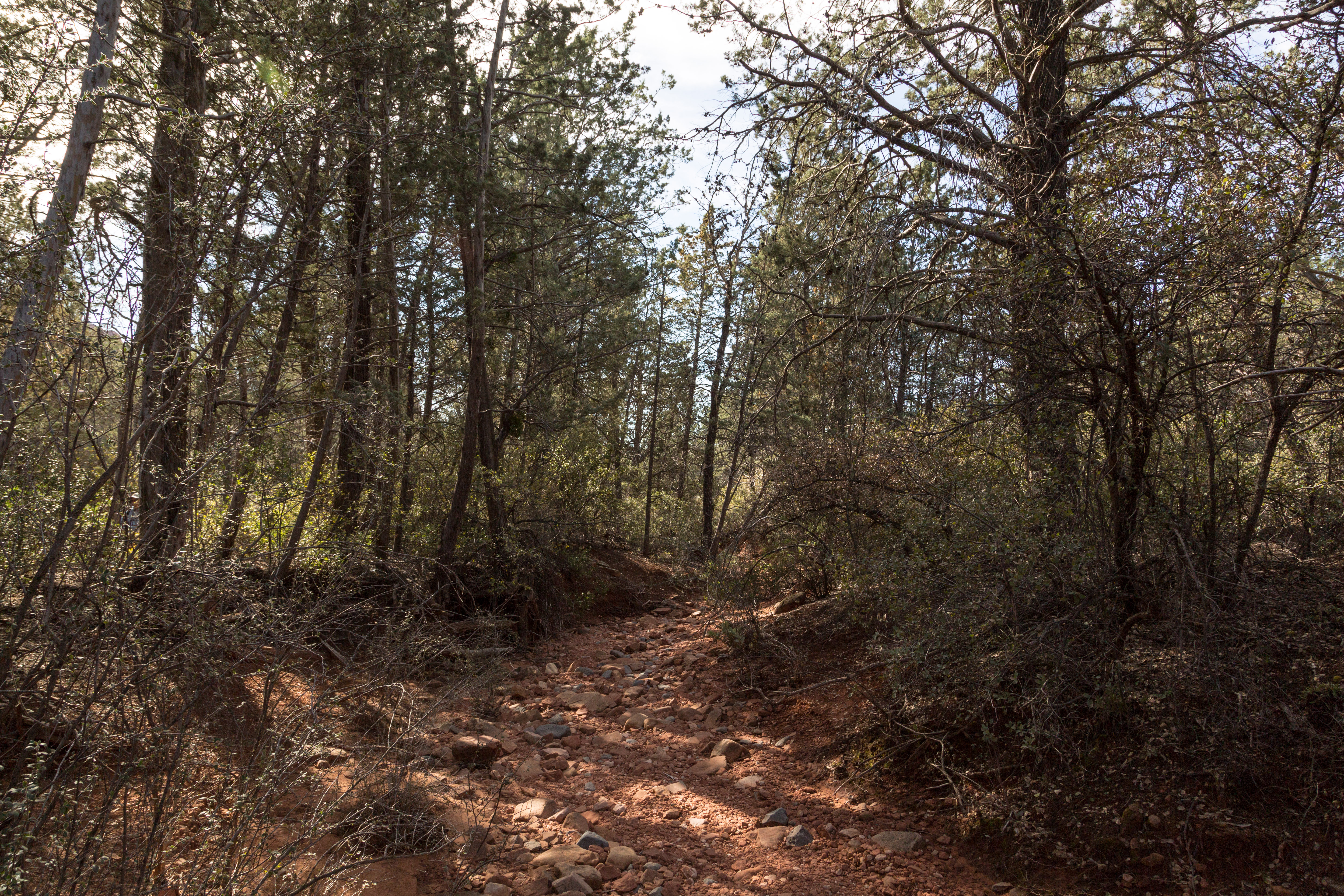 Soldier's Pass Trail to Brins Mesa Trail
